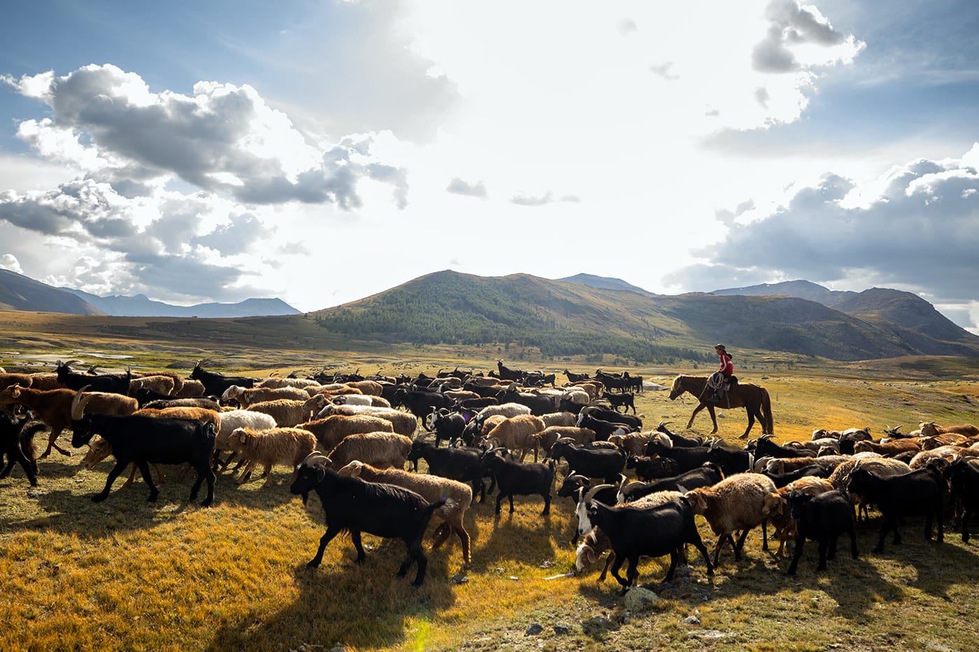 Nomadic trip